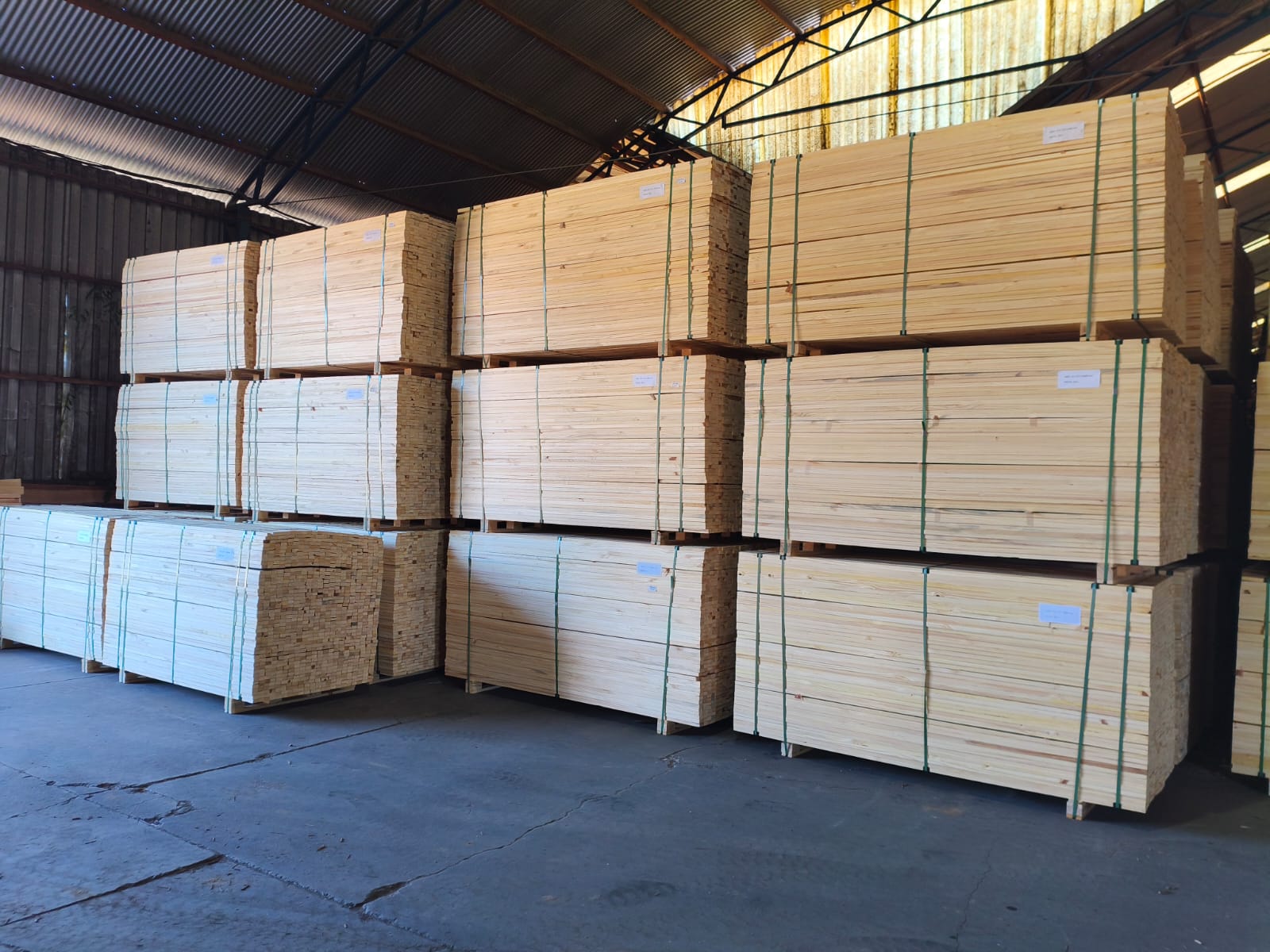 Sawn Wood