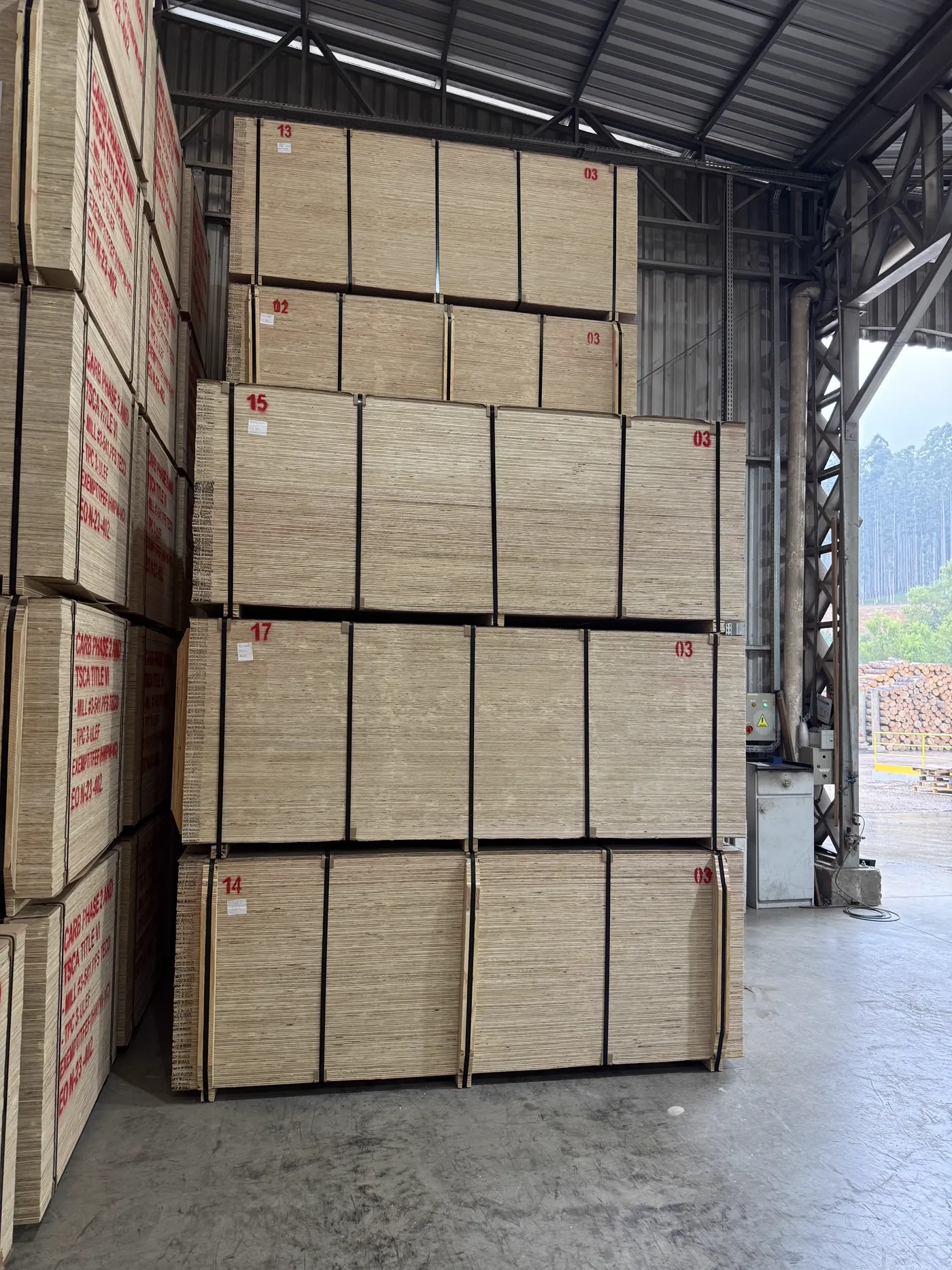 Rodochapas — Brazilian pine timber panels ready for export