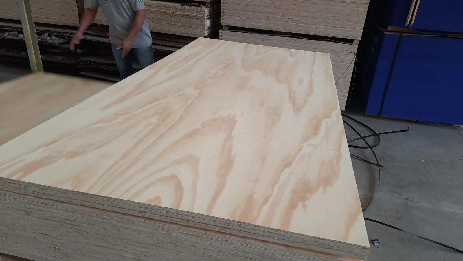 Pine Plywood FOB Price Brazil: Buyer's Guide & Price Drivers