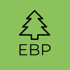 Export Brazil Pine